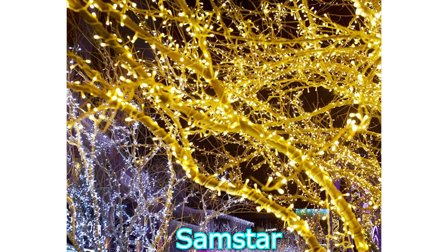 Kerstverlichting - 10 Meter - 100 LED's - IP44 Water Bescherming - 8 Standen - Aan Elkaar Te koppelen